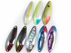 Flutter Spoon Sample