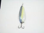 Sexy Shad